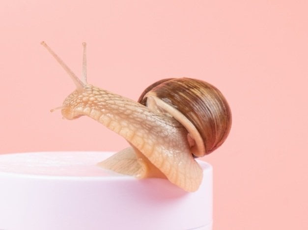 Would You Use Snail Slime on Your Face? Here’s Why Snail Mucin is a Skincare Powerhouse (And Why it Can’t Stop Going Viral)